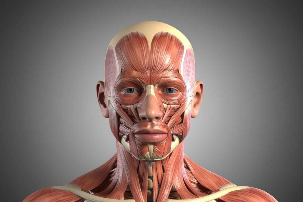 Acompanhamento após Harmonização Orofacial: por que o resultado evolui com o tempo